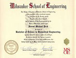 Jeremi Peck Certificate