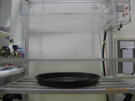 MECA Environmental Lab 3